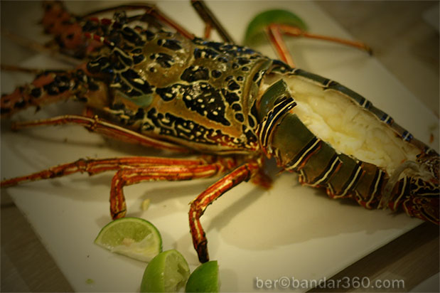 [lobstr0013+copy.jpg]