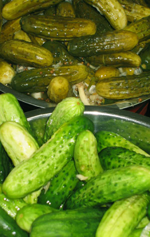[pickles3.jpg]