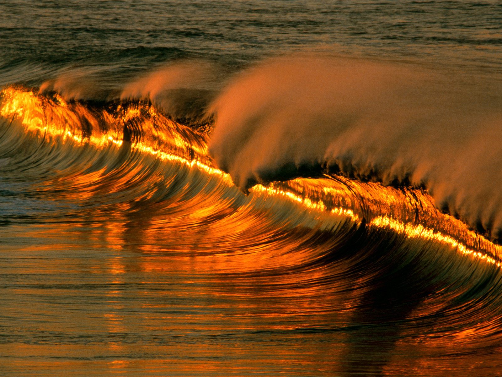 [Golden+Wave+at+Sunset,+Puerto+Escondido,+Mexico.jpg]