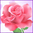 [pink+flower.gif]