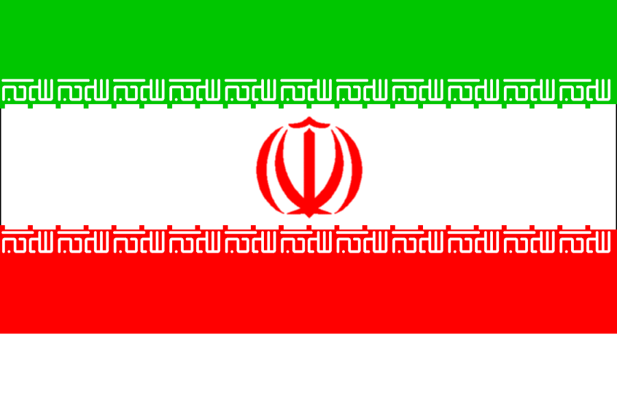 [iran-flag.gif]