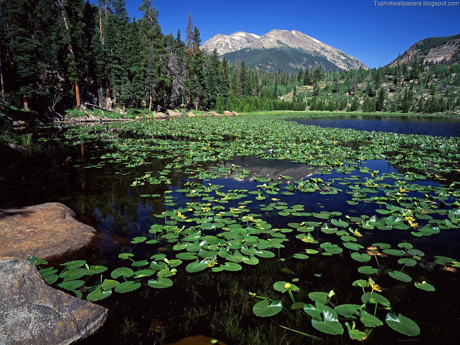[Cub+Lake,+Stones+Mountain,+Rocky+Mountain+National+Park,+Colorado.jpg]