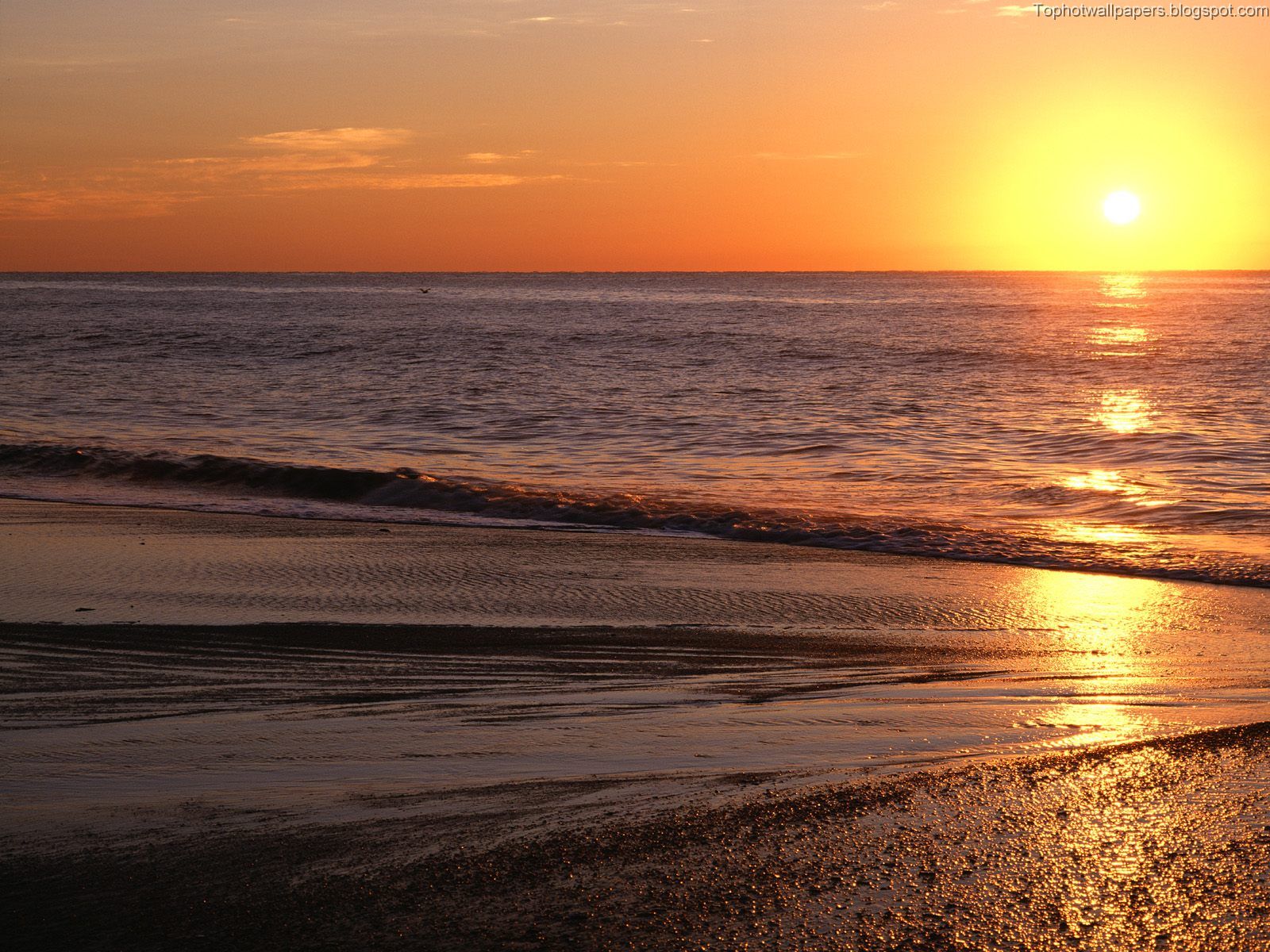 [Sunrise+Over+the+Atlantic,+Myrtle+Beach,+South+Carolina.jpg]