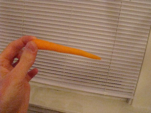 [big+baby+carrot.JPG]