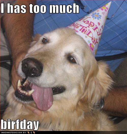 [Birthday+Dog.bmp]