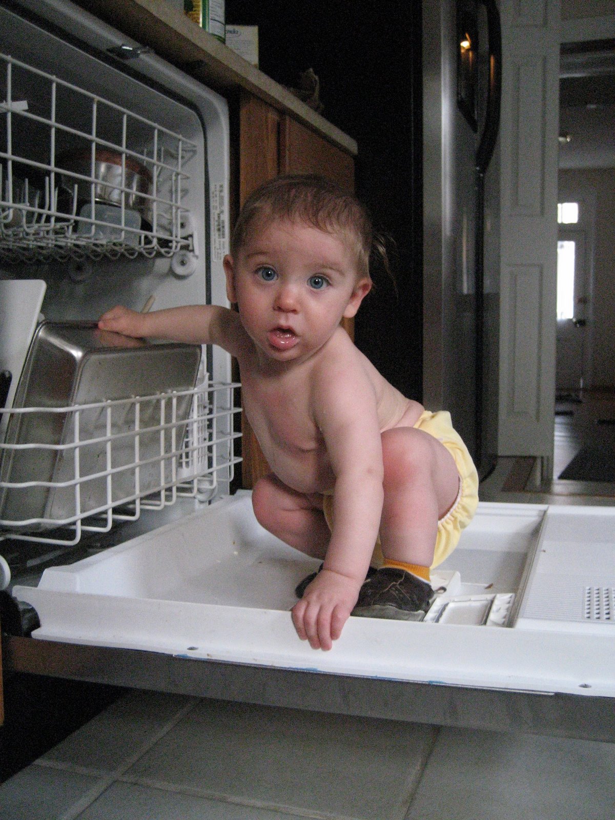 [Dishwasher2.jpg]