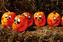 [07+four+pumpkins2+flouresent+chalkweb.jpg]