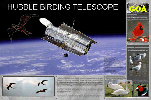 [large-hubble-telescope.gif]