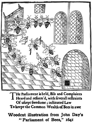 [bees+parliament.jpg]