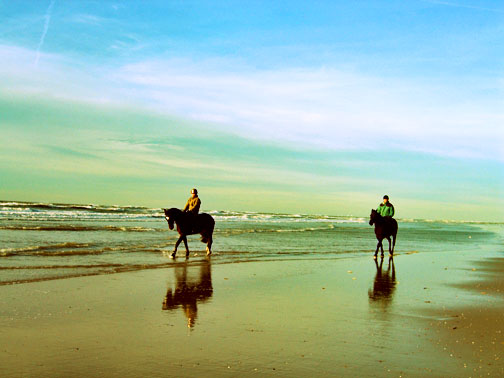 [ocean+horses.JPG]
