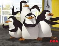 Pinguins DBAs