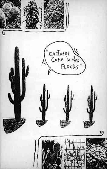 [melt+banana+-+cactuses+come+in+flocks.jpg]