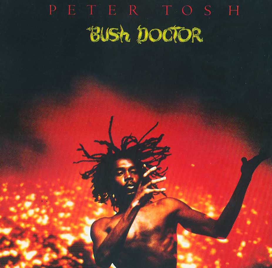 [Bush+Doctor+cover.jpg]