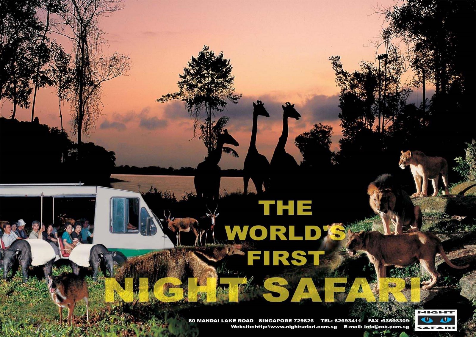 [Night+Safari+poster.jpg]