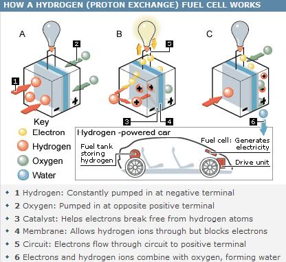 [HOW-HYDROGEN-FUEL-CELL-WORKS.JPG]