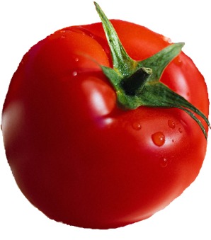 [Tomato.jpg]