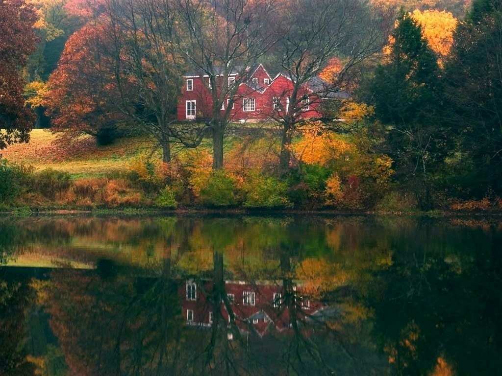 [autumn+pond.jpg]