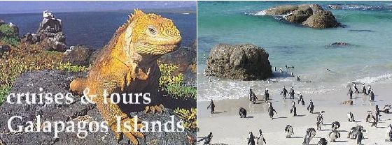 [Galápagos+Islands+Tour.jpg]