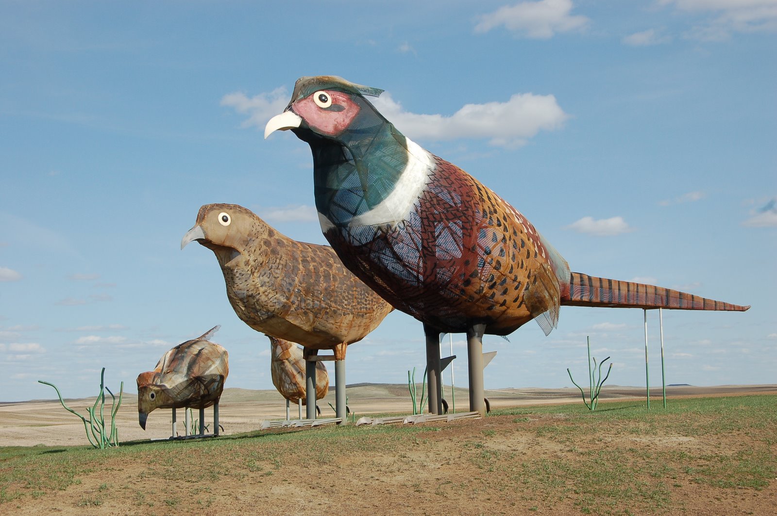REAL quails were flocking to these statues, no lie!
