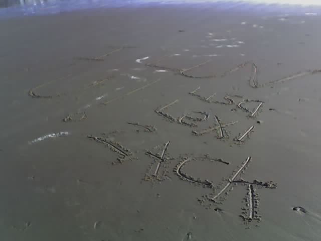 [beach+love.jpg]