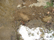 Footprint at 3 creek juntion