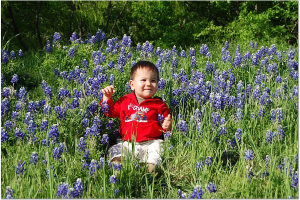 [Carter+with+the+bluebonnets.jpg]