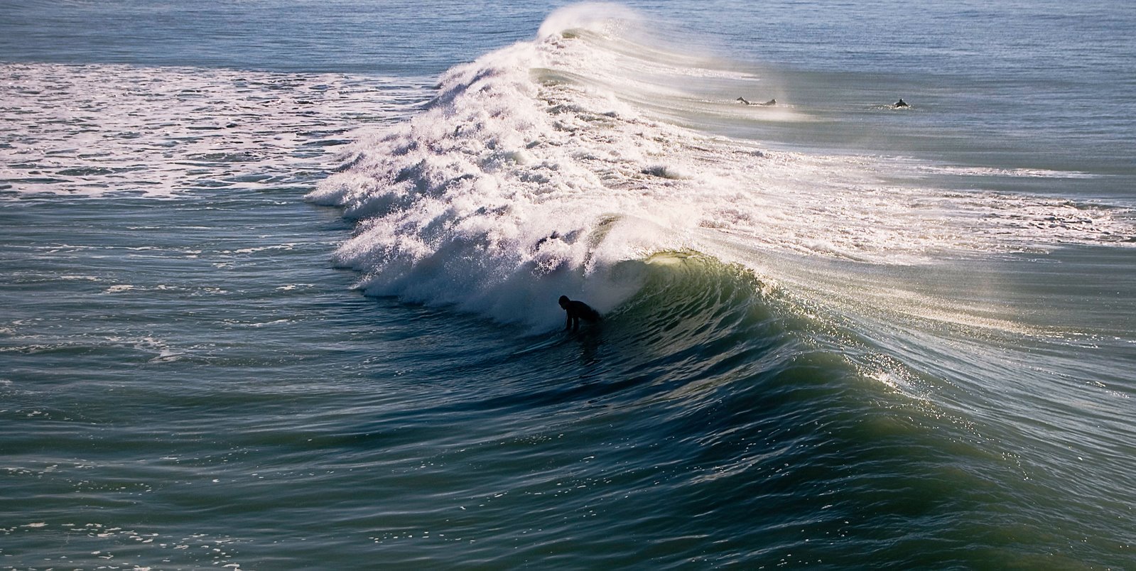[surfin'+New+Brighton+Beach.jpg]