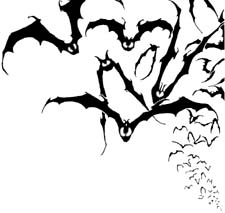 [bats+2.jpg]