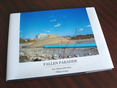 [fallen+paradise+book+cover.jpg]