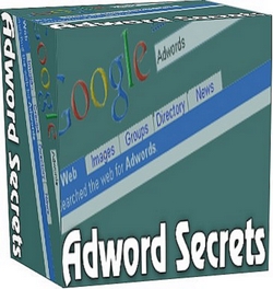 [adwords+boxcover-small.jpg]