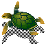 [turtle3.gif]