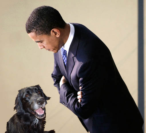 [Obama+and+Daisy+prepare+for+a+rally.jpg]