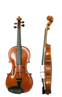 [violin1.jpg]
