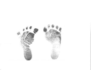 Olivia's Footprints