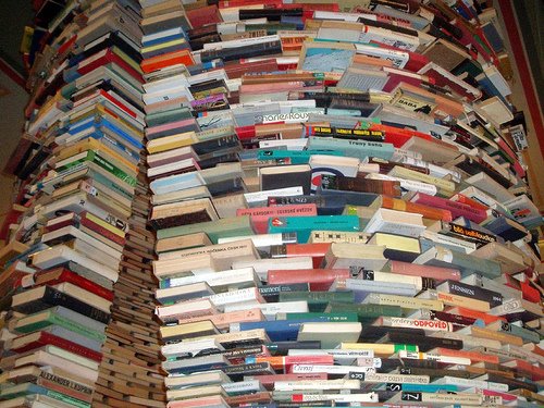 [pile+of+books.jpg]
