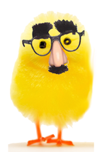 [groucho_chick_tiny.png]