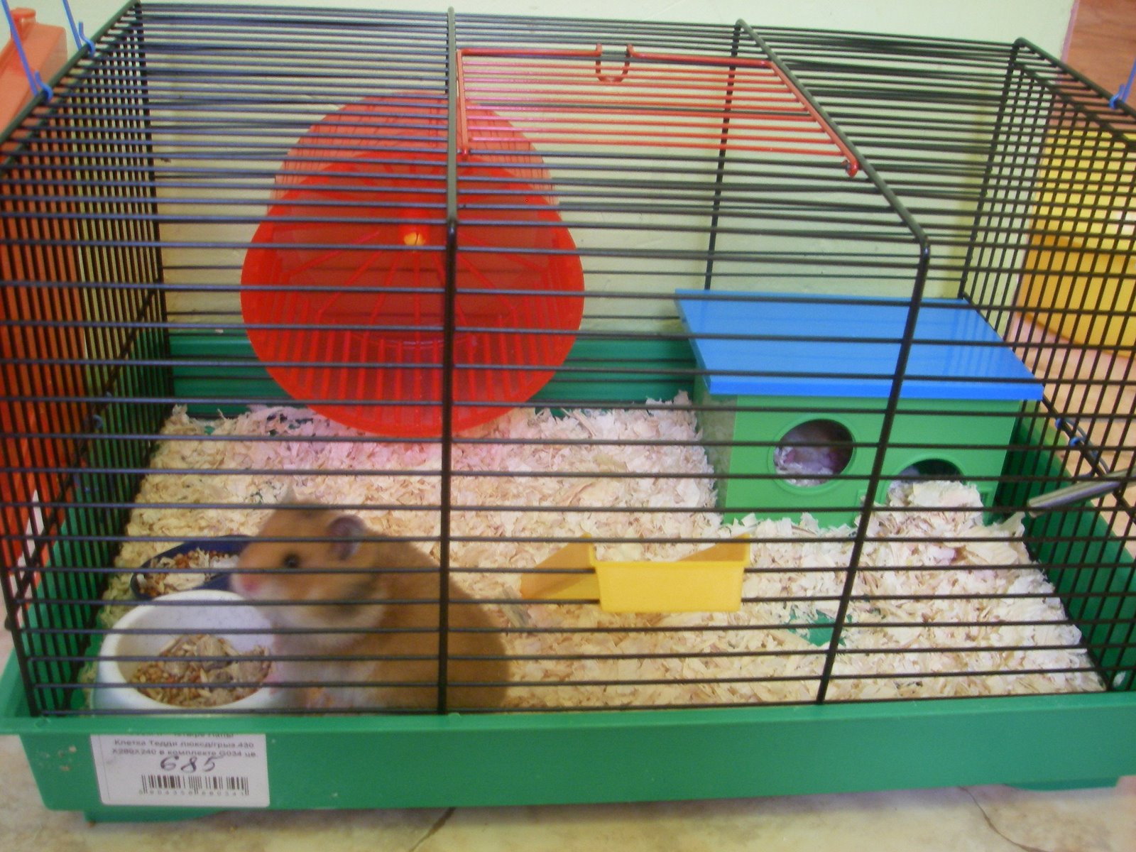 [hamster2.JPG]