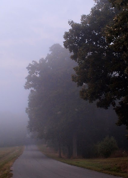 [foggy+road.bmp]
