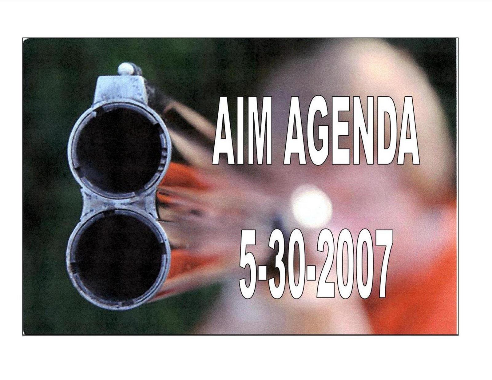 [AIM+Agenda+5-30-2007.jpg]