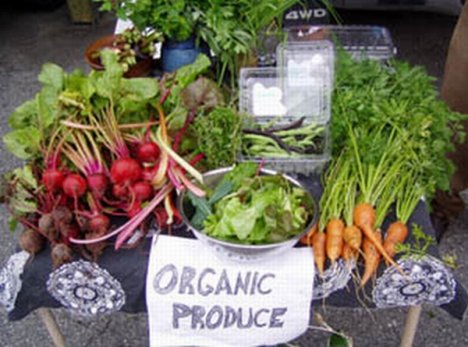 [green-basics-organic-produce-stand.jpg]