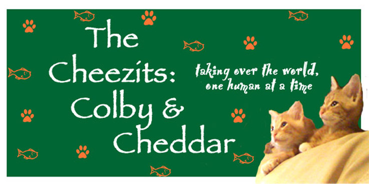 The Cheezits: Colby and Cheddar