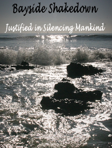 Bayside Shakedown's album, Justified in Silencing Mankind
