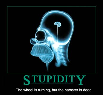[Stupidity.jpg]