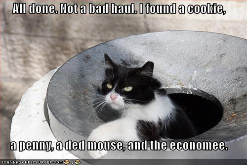 [funny-pictures-cat-trash-economy.jpg]
