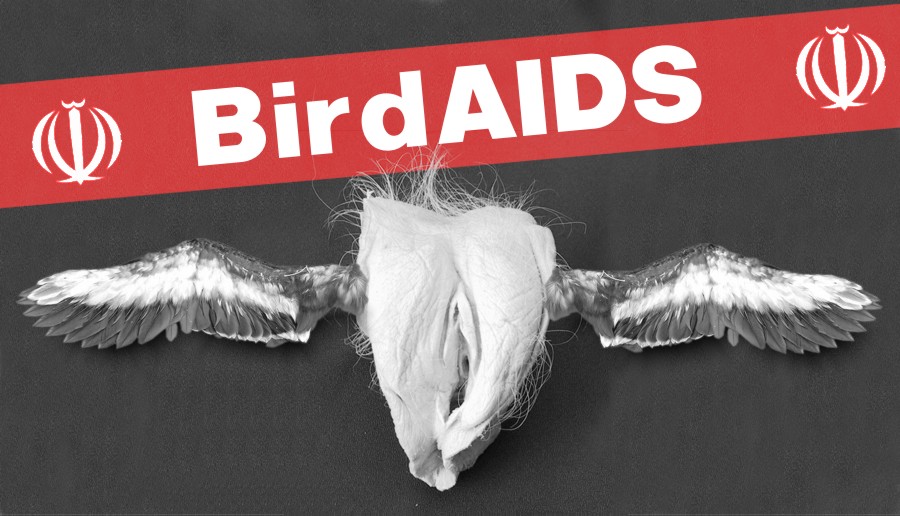 [birdAIDS2.jpg]