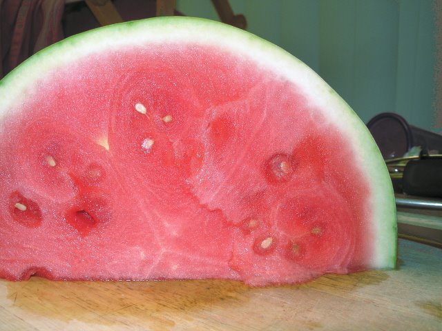 [melon.JPG]