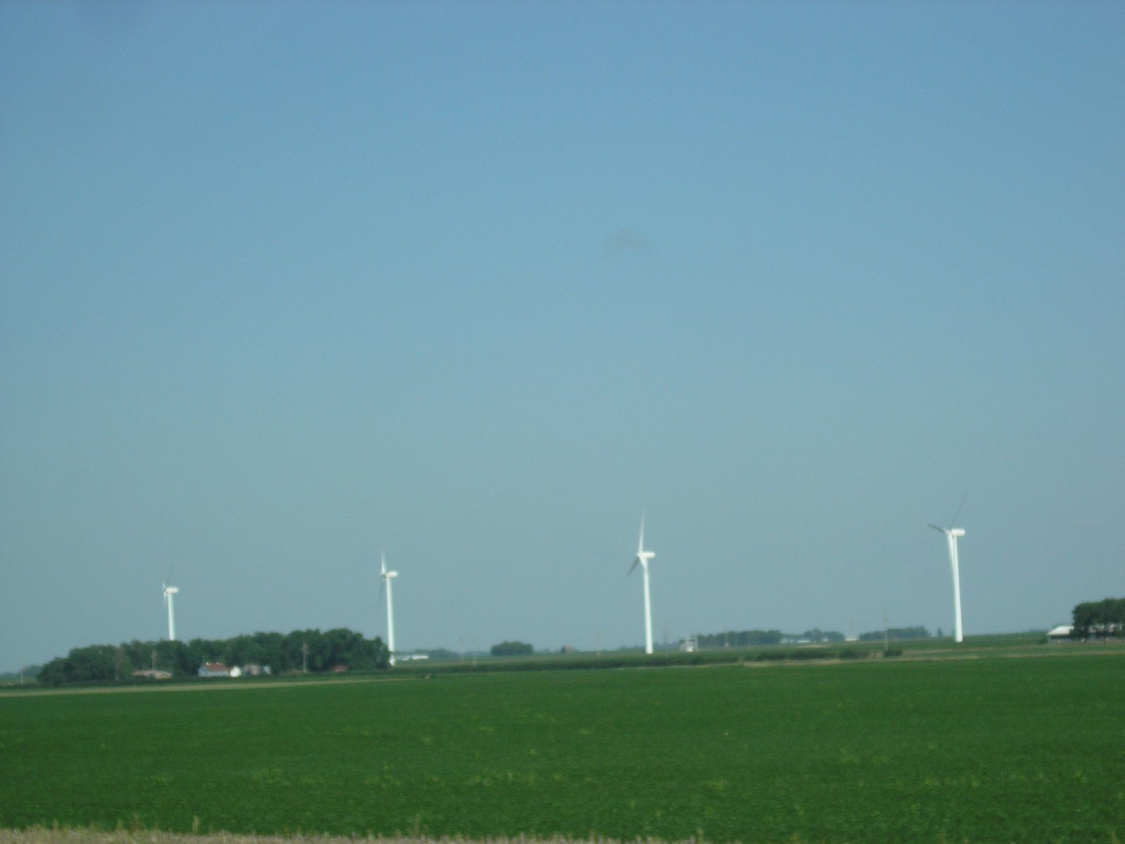 [windmills.JPG]