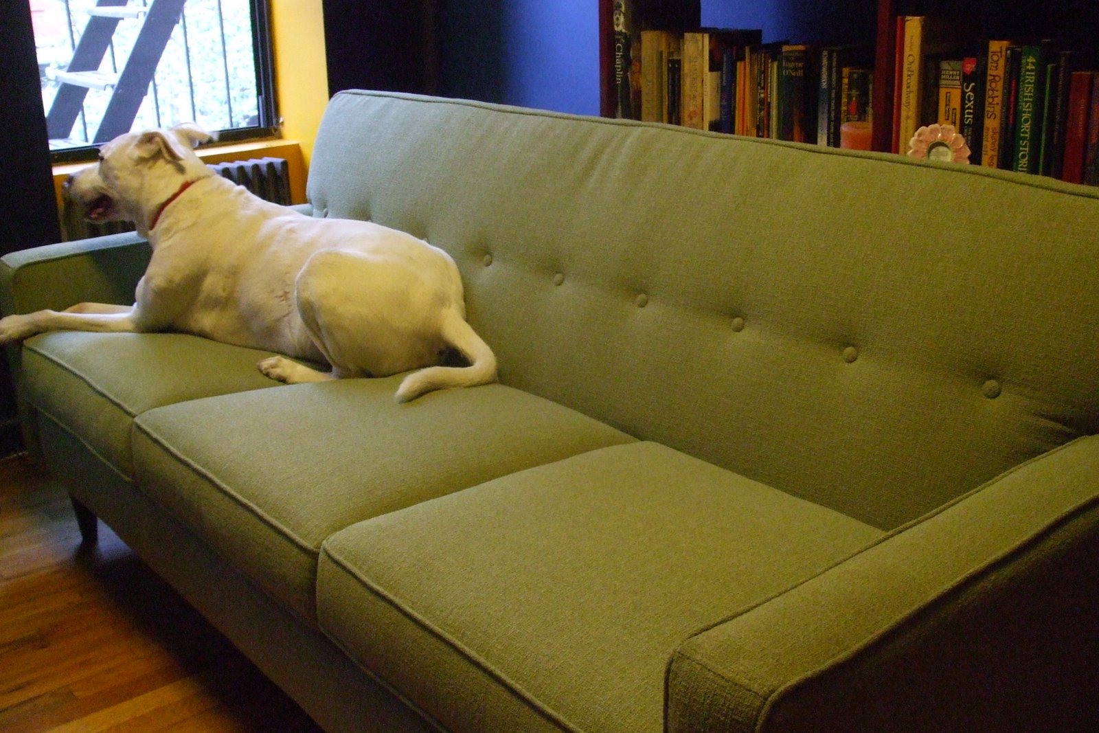 [Couch+delivery+008.jpg]