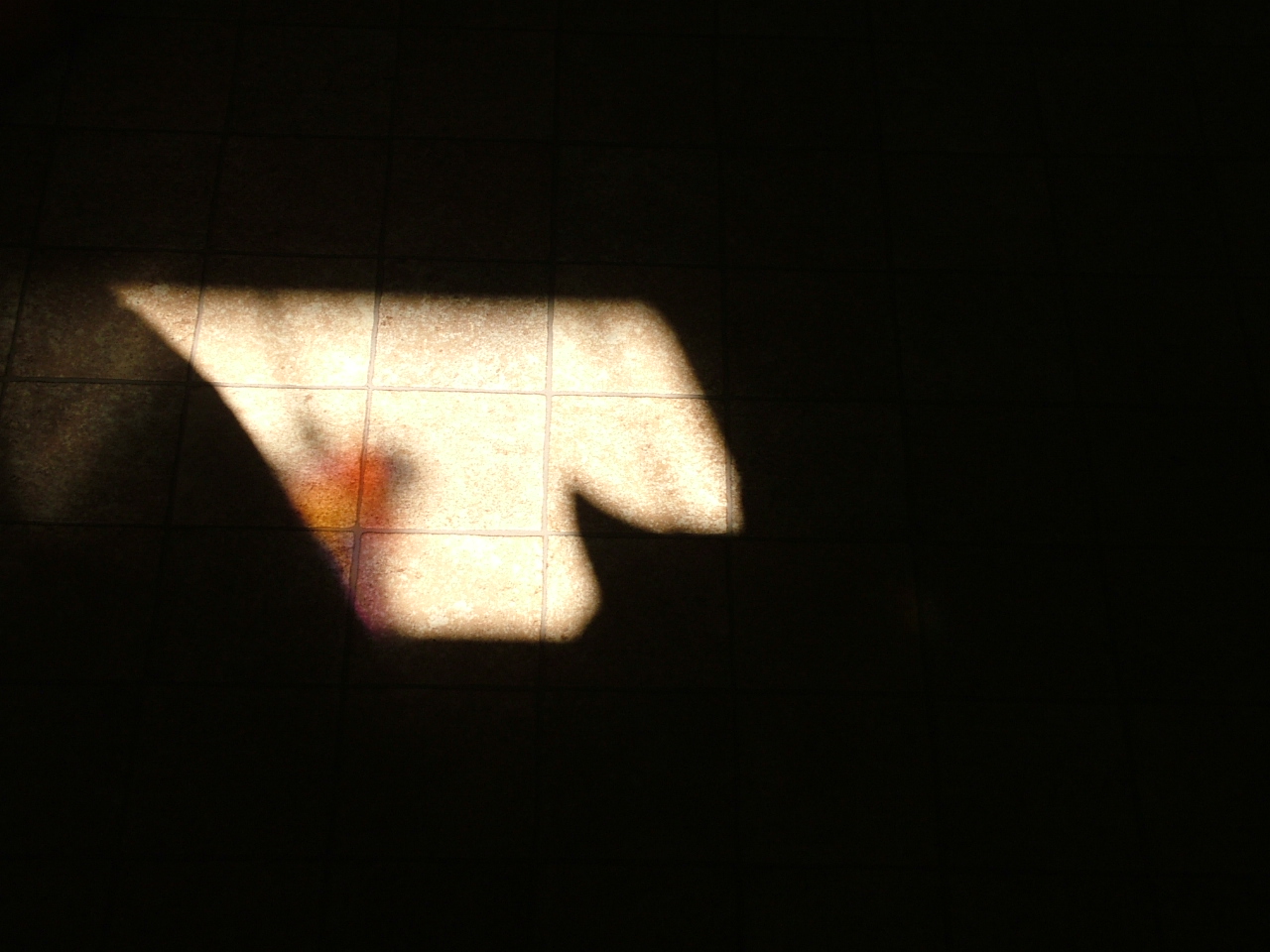 [shadow+heart.JPG]