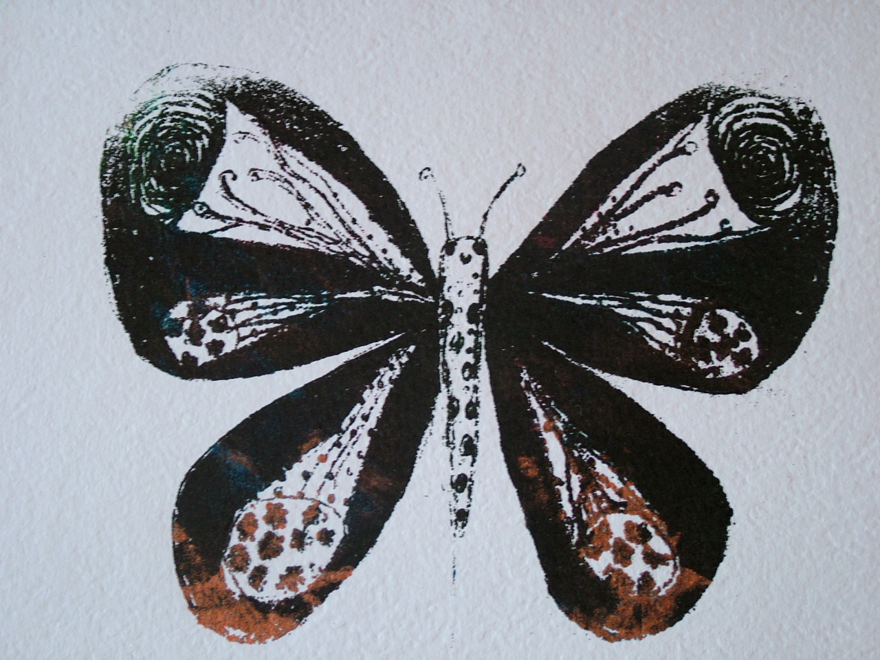 [butterfly.JPG]